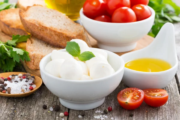 Fresh mozzarella and ingredients for a salad — Stock Photo, Image