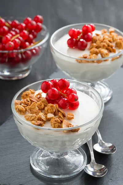 Creamy panna cotta with granola and fresh red currants, vertical — Stock Photo, Image