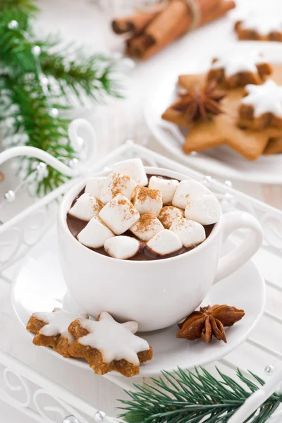 Spicy hot chocolate with marshmallows, vertical — Stock Photo, Image