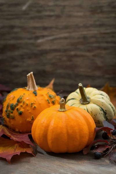 Composition with pumpkins and autumn leaves, vertical — Stock Photo, Image