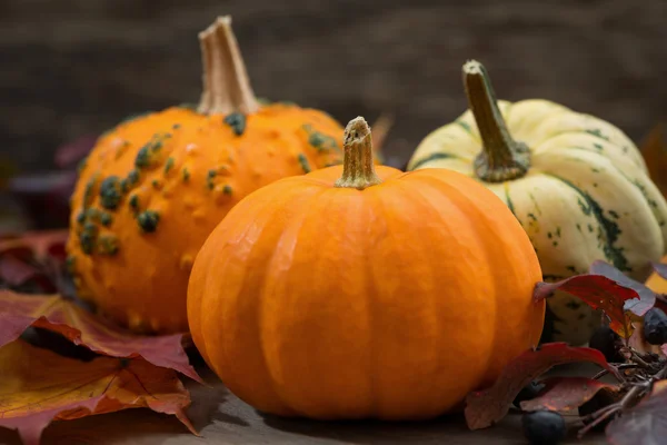 Composition with pumpkins and autumn leaves on table — Stock Photo, Image