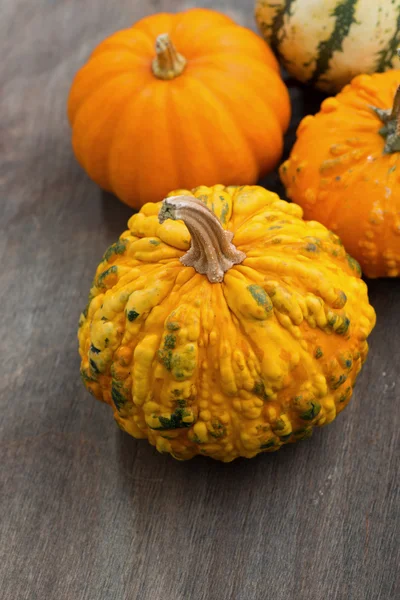 Pumpkins on a grey wooden background, top view — Stock Photo, Image