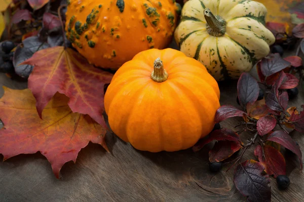 Seasonal pumpkin with autumn leaves, top view — Stock Photo, Image