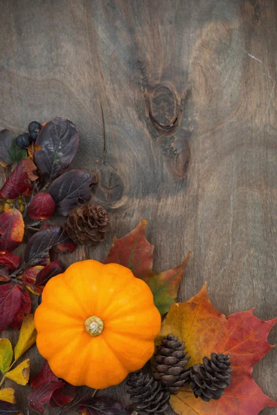 Wooden background with seasonal pumpkin and leaves, vertical clo — Stock Photo, Image