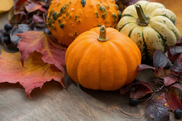 Seasonal pumpkin with autumn leaves on table — Stock Photo, Image