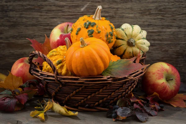 Seasonal pumpkins and apples in the basket on table — Stock Photo, Image