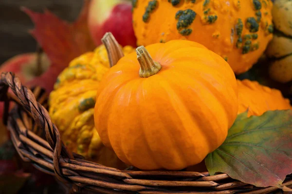 Seasonal pumpkins and apples in the basket, closeup — Stock Photo, Image