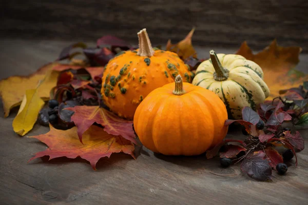 Composition with pumpkins and autumn leaves — Stock Photo, Image