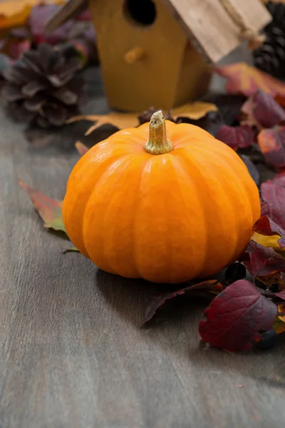 Grey wooden background with pumpkin and autumn leaves, vertical — Stock Photo, Image