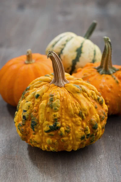 Pumpkins on a wooden background, closeup — Stock Photo, Image