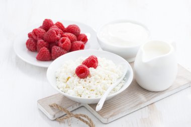 Taze ev yapımı peynir ahududu, süt ve yoğurt ile