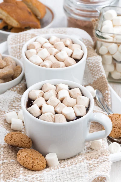 Twee kopjes op smaak gebrachte cacao met marshmallow — Stockfoto