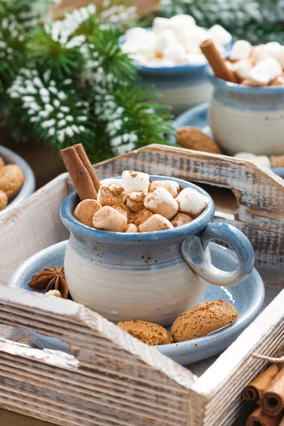 Würziger Kakao mit Marshmallows, Zimt und Keksen — Stockfoto