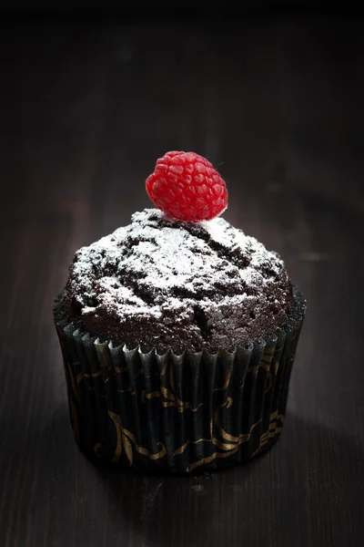 Muffins de chocolate com açúcar em pó e framboesa — Fotografia de Stock