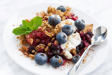 Berry kek yulaf gevreği ve yaban mersini, closeup ile