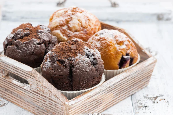 Sortimento de muffins deliciosos frescos — Fotografia de Stock