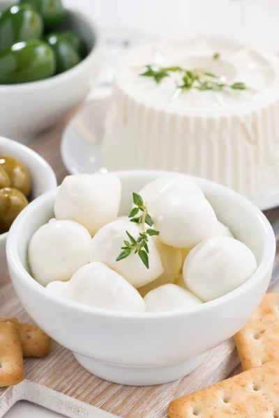 Verse mozzarella en crackers, close-up, verticale — Stockfoto