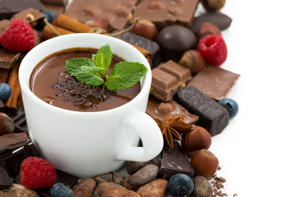 Chocolate quente com hortelã em uma xícara e ingredientes, isolados — Fotografia de Stock