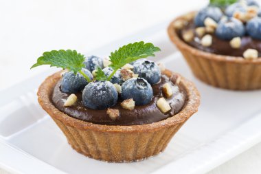 Yaban mersini, fındık ve tartlets içinde nane çikolata mousse