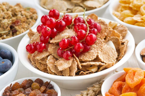 Assortimento di diversi cereali per la prima colazione, frutta secca — Foto Stock