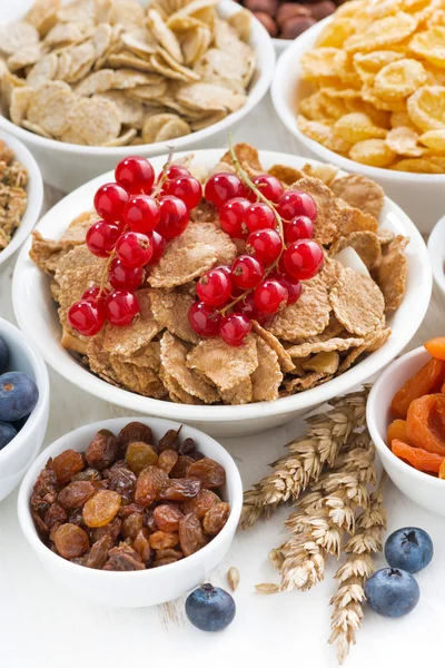 Assortimento di diversi cereali per la prima colazione, frutta secca — Foto Stock