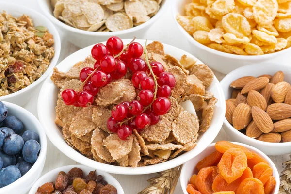 Választék a különböző reggeli gabonafélék, szárított gyümölcs és bogyó — Stock Fotó