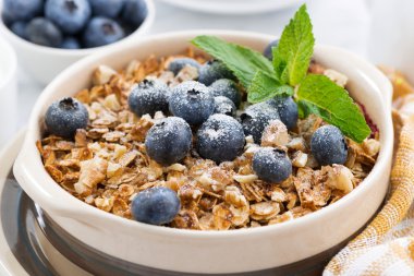 Berry kek ile yulaf ezmesi, portre