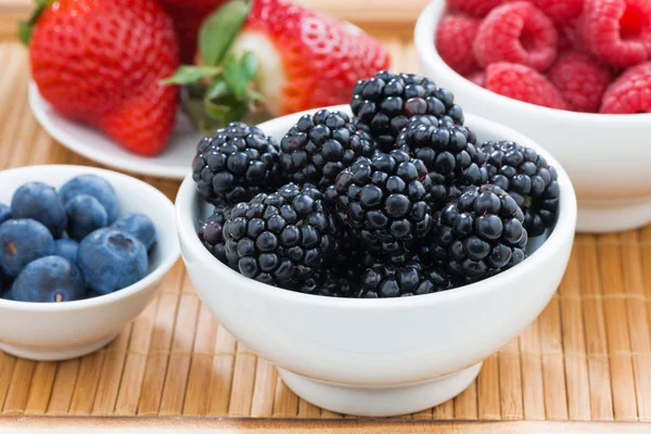 Schüssel mit Brombeeren in Nahaufnahme und frischen Beeren — Stockfoto