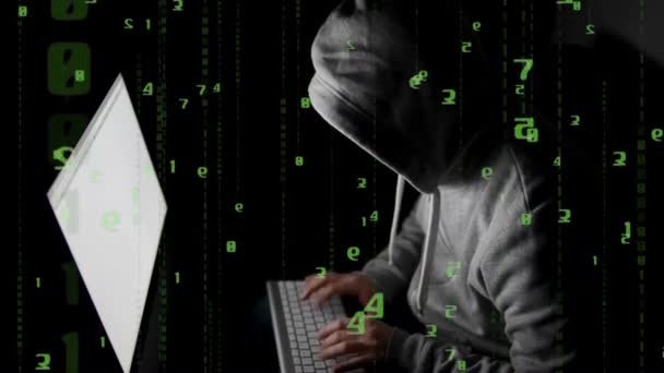 Hacker arbetar på en dator — Stockvideo