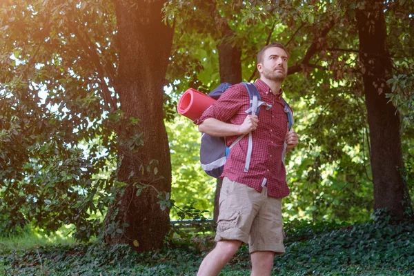 Viajero adulto joven caminando en un bosque para un viaje —  Fotos de Stock