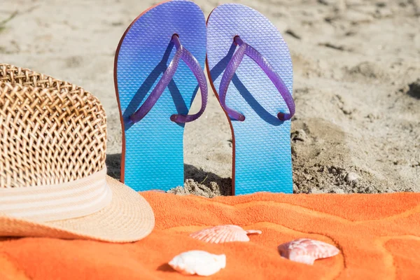 Sahilde yaz plaj nesneleri koleksiyonu 