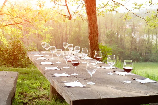 Copas de vino sobre una mesa de madera en el campo — Foto de Stock