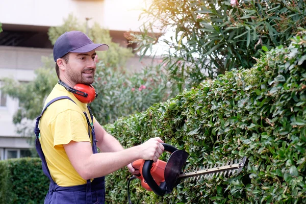 Tuinman met behulp van een hedge clipper in de tuin — Stockfoto