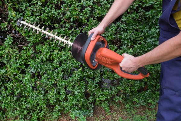 Tuinman met behulp van een hedge clipper in de tuin — Stockfoto