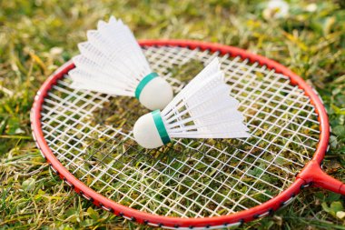 Kamu parkındaki yeşil çimlerde Badminton raketi ve mekikleri