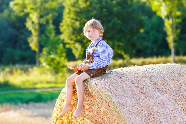 Two little kid boys and friends sitting on hay stack — Stock Photo, Image