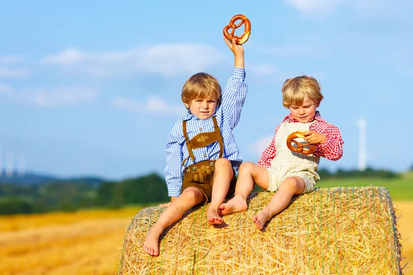 Two little kid boys and friends sitting on hay stack — Stock Photo, Image