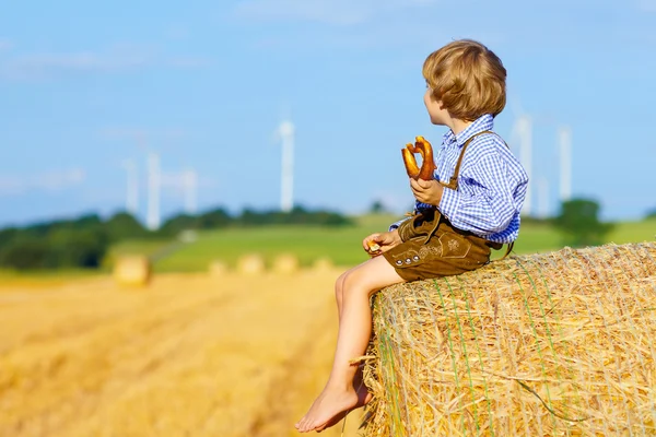 Two little kid boys and friends sitting on hay stack — Stock Photo, Image