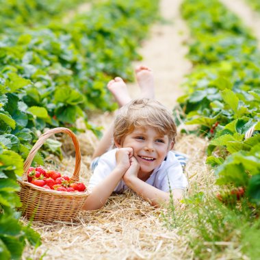 Çiftlikte, açık havada çilek toplama küçük çocuk çocuk.