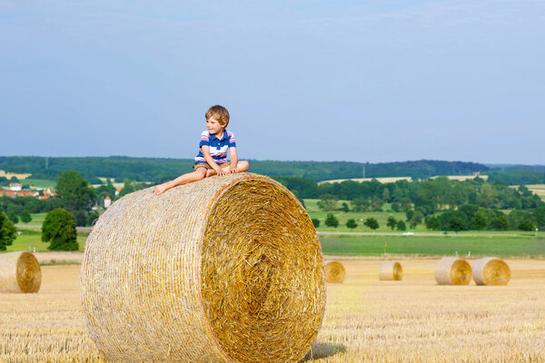 Little kid boy sitting on hay bale in summer