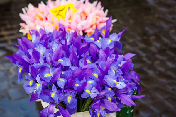 Flores para la venta en un mercado de flores italiano en Roma — Foto de Stock