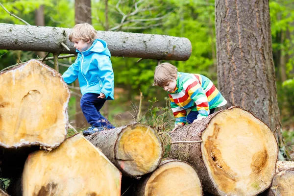 To små guttunger som leker i skogen på en kald dag – stockfoto