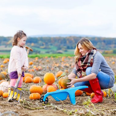 Küçük çocuk kız ve annesi balkabağı sahada eğleniyor