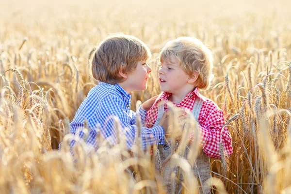 Dois meninos irmãos se divertindo e falando sobre trigo amarelo — Fotografia de Stock