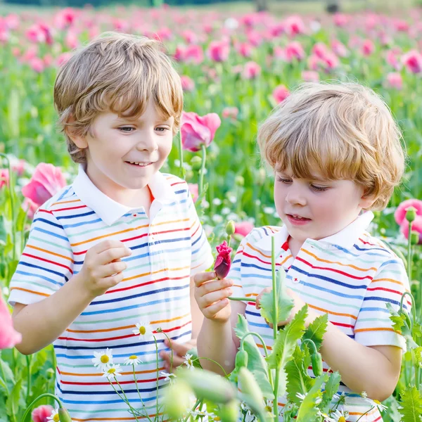 Twee gelukkige kleine blonde kinderen tijdens de bloei poppy veld — Stockfoto