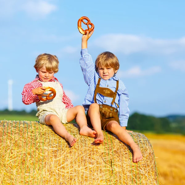 Two little kid boys and friends sitting on hay stack — Stock Photo, Image