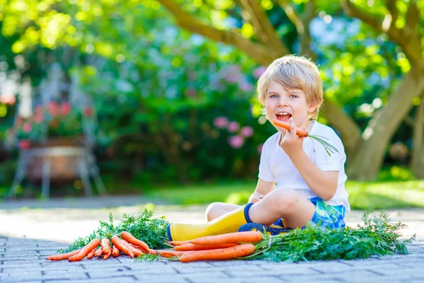 Rolig liten unge pojke med morötter i trädgården — Stockfoto
