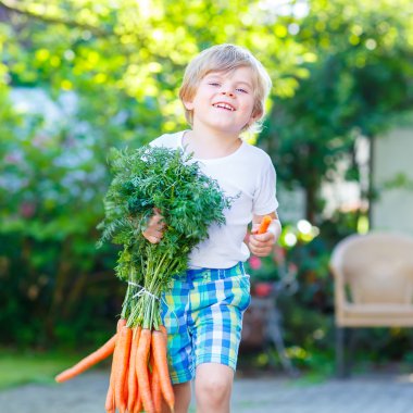 Komik çocuk ufaklikla havuç Bahçe