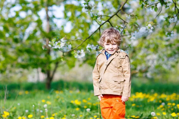 Kid boy in spring garden with blooming apple trees — Stock Photo, Image