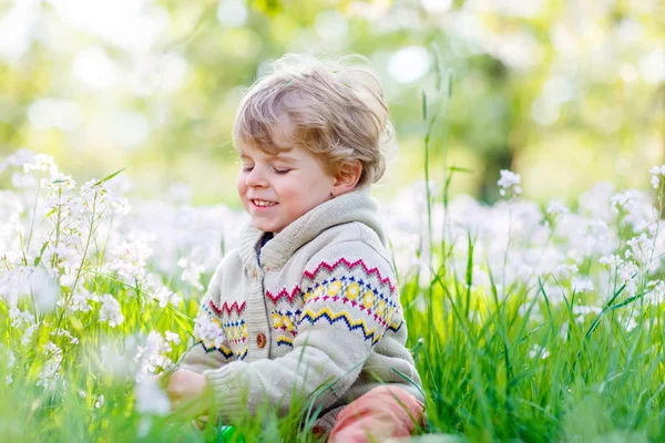 Jongen jongen in lentetuin met bloeiende bloemen — Stockfoto